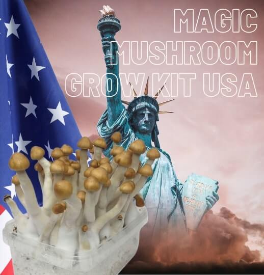 About magic mushroom grow kit USA