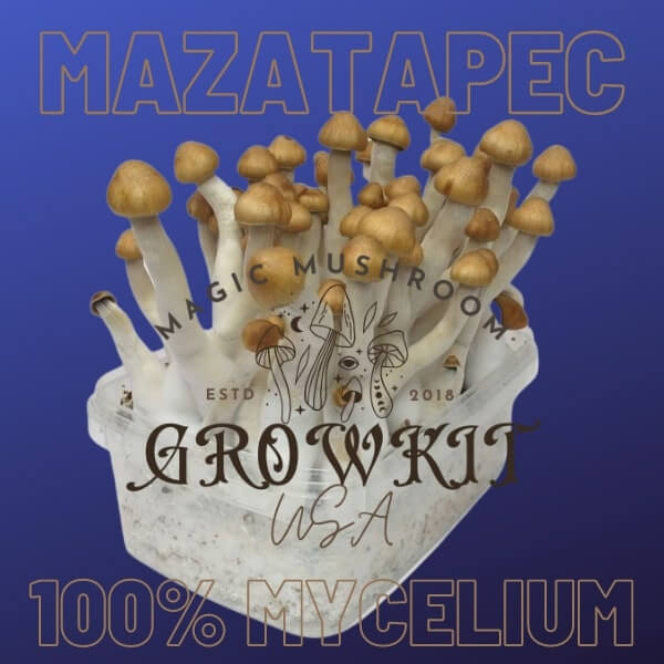 Mazatapec magic mushroom grow kit USA